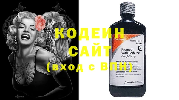твердый Пересвет