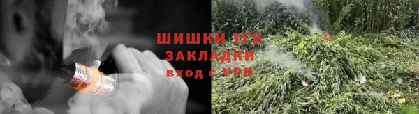 твердый Пересвет
