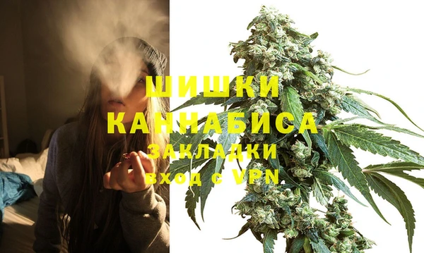 твердый Пересвет