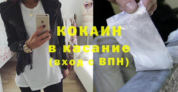 твердый Пересвет