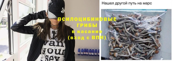 твердый Пересвет
