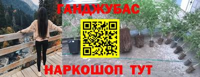 крисы Можайск
