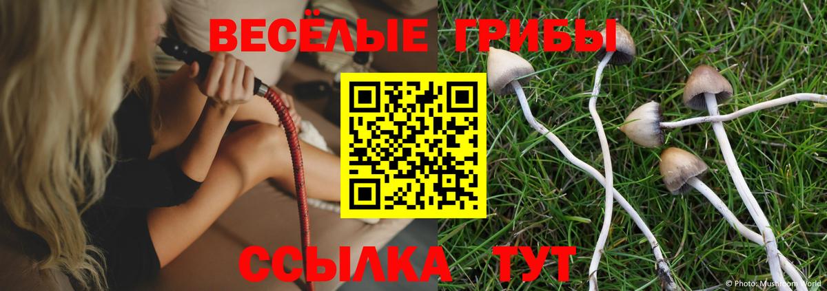 Галлюциногенные грибы GOLDEN TEACHER Сосновоборск