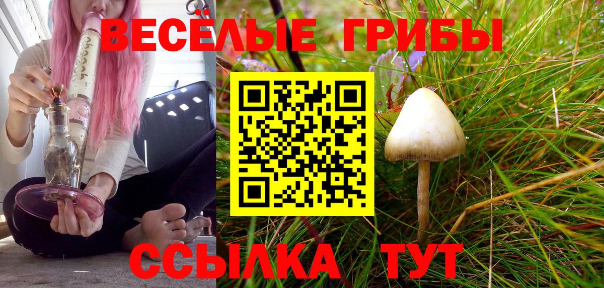 Псилоцибиновые грибы ЛСД  Вход с VPN  Сосновоборск  Галлюциногенные грибы Cubensis 